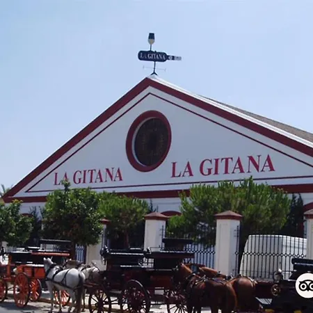 Convento De La Victoria Junto Al Cabildo Con Wifi Y Parking Gratis דירה